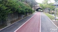 Imagine atasata: 20140828_155036.jpg